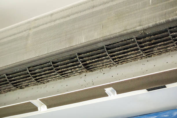 Best Commercial Air Duct Cleaning  in Nazareth College, NY